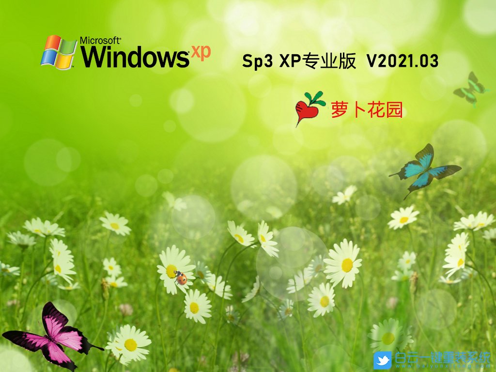 蘿卜家園 Ghost XP SP3 裝機專業(yè)版 V2021.03 界面1