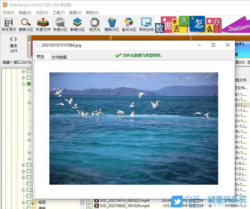回收站,文件恢復(fù),數(shù)據(jù)恢復(fù)步驟