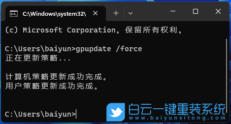 Win11,組策略,Microsoft,Store,應(yīng)用更新步驟